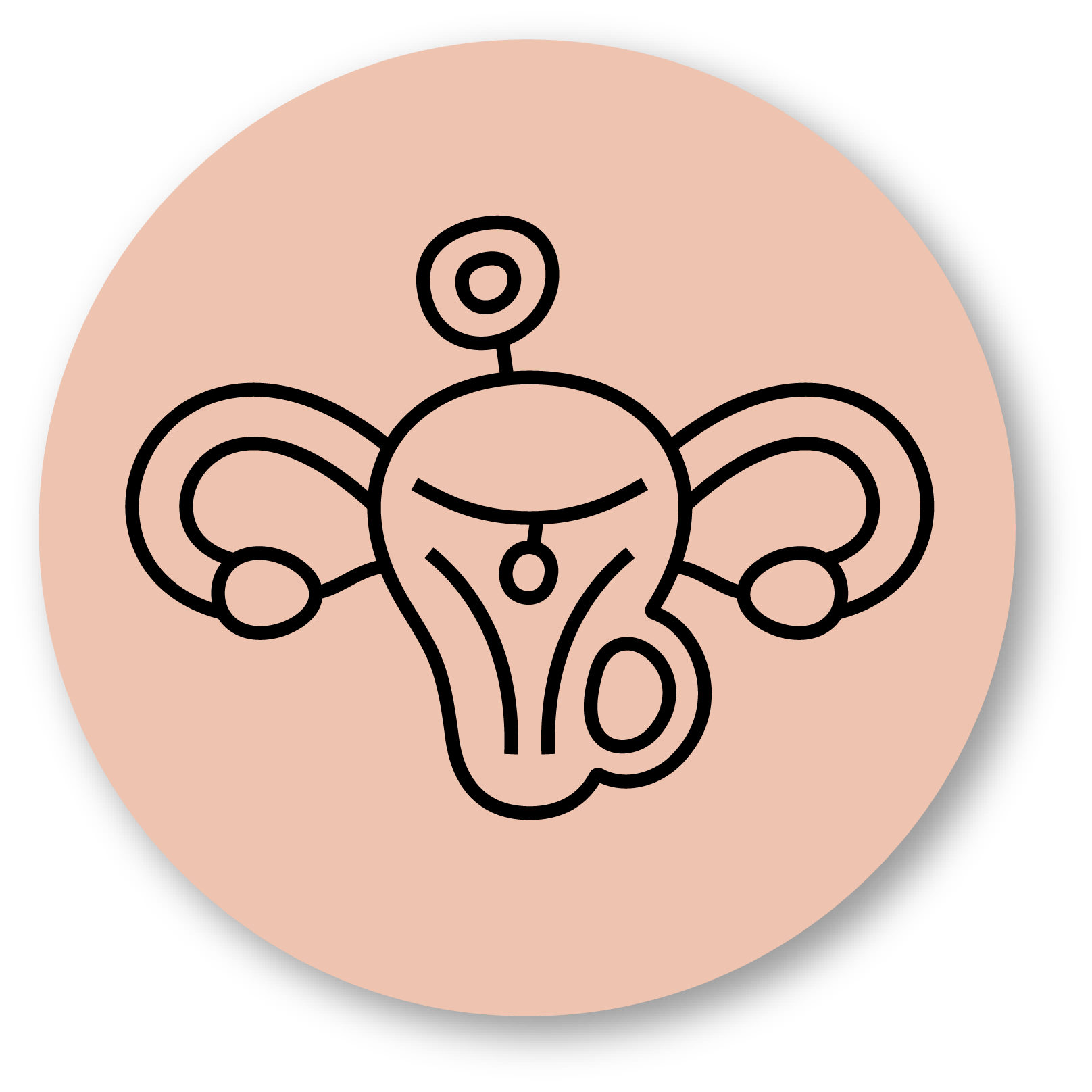 Fibroids